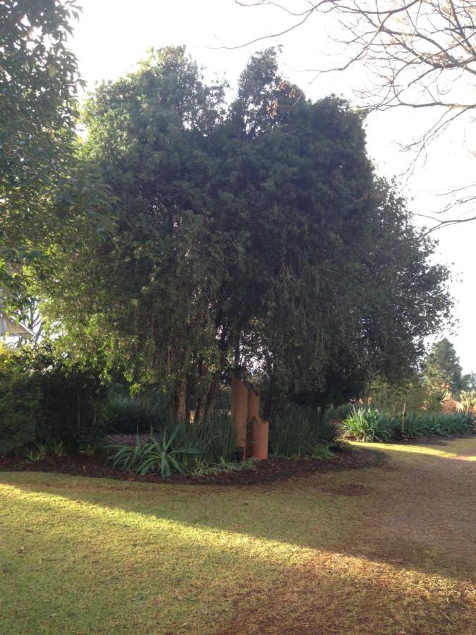 Deo Resta Guest Lodge Piet Retief Dış mekan fotoğraf
