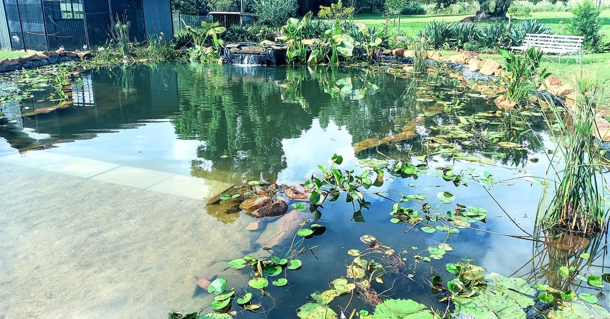 Deo Resta Guest Lodge Piet Retief Dış mekan fotoğraf